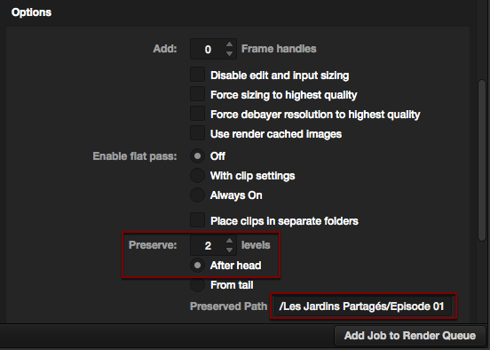 conv_apr_render_options