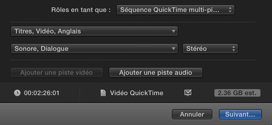 Ne garder qu'une "piste" Vidéo et qu'une "piste" Audio
