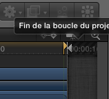 C'est un marquer de projet qui logiquement se situe sur la dernière image.