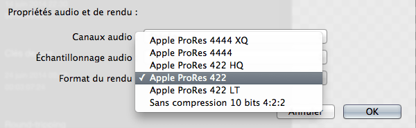 menu_format_du_rendu