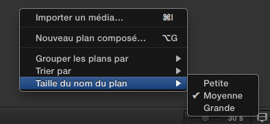 Tailles des noms dans le navigateur