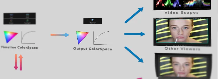 Espaces Colorimétriques dans Resolve