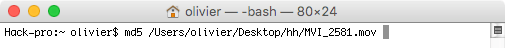 terminal_md5_1