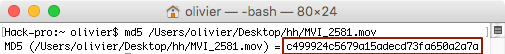 terminal_md5_2